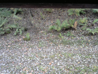 長野県菅平高原 ゆたか山荘 南側 2025/10/31 12:00