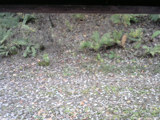 長野県菅平高原 ゆたか山荘 南側 2025/10/31 12:15