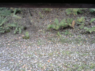 長野県菅平高原 ゆたか山荘 南側 2025/10/31 12:30