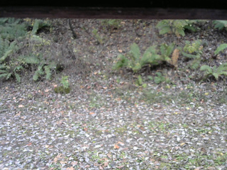 長野県菅平高原 ゆたか山荘 南側 2025/10/31 12:45