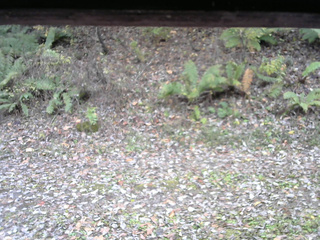 長野県菅平高原 ゆたか山荘 南側 2025/10/31 13:15