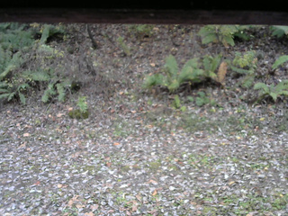 長野県菅平高原 ゆたか山荘 南側 2025/10/31 13:45