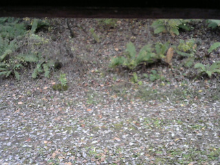 長野県菅平高原 ゆたか山荘 南側 2025/10/31 14:15