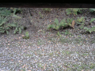 長野県菅平高原 ゆたか山荘 南側 2025/10/31 16:00