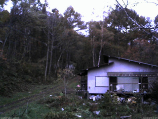 長野県菅平高原 ゆたか山荘 西側(坂上) 2025/10/31 06:00
