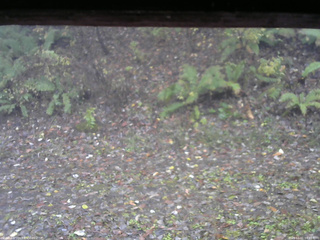 長野県菅平高原 ゆたか山荘 南側 2025/11/01 08:45