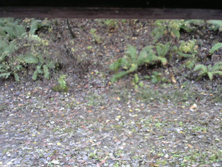 長野県菅平高原 ゆたか山荘 南側 2025/11/01 09:45