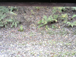 長野県菅平高原 ゆたか山荘 南側 2025/11/01 11:00