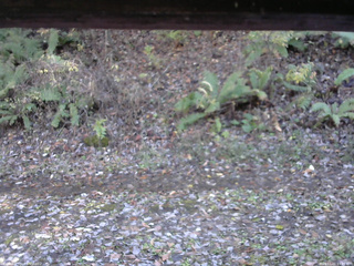 長野県菅平高原 ゆたか山荘 南側 2025/11/01 13:45