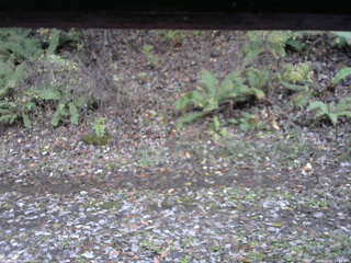 長野県菅平高原 ゆたか山荘 南側 2025/11/01 14:15