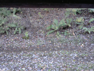 長野県菅平高原 ゆたか山荘 南側 2025/11/01 14:45