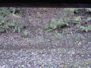 長野県菅平高原 ゆたか山荘 南側 2025/11/01 15:30