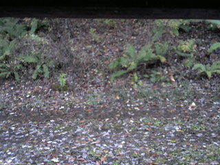 長野県菅平高原 ゆたか山荘 南側 2025/11/01 16:45