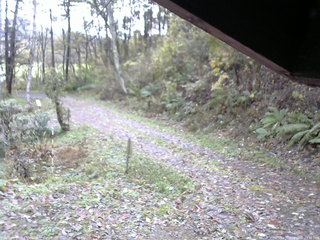 長野県菅平高原 ゆたか山荘 東側(坂下) 2025/11/01 09:45