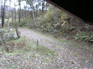 長野県菅平高原 ゆたか山荘 東側(坂下) 2025/11/01 10:15