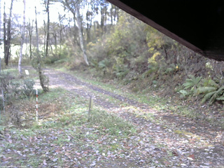 長野県菅平高原 ゆたか山荘 東側(坂下) 2025/11/01 11:45