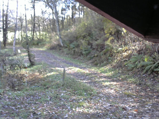 長野県菅平高原 ゆたか山荘 東側(坂下) 2025/11/01 12:00