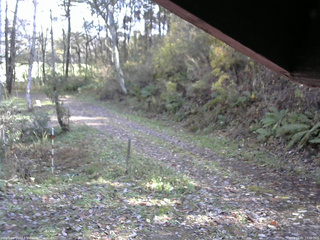 長野県菅平高原 ゆたか山荘 東側(坂下) 2025/11/01 13:00