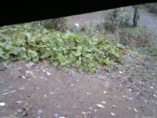 長野県菅平高原 ゆたか山荘 駐車場 2025/11/01 09:45