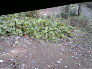 長野県菅平高原 ゆたか山荘 駐車場 2025/11/01 10:00