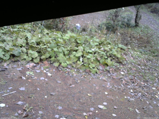 長野県菅平高原 ゆたか山荘 駐車場 2025/11/01 11:00