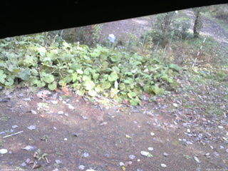 長野県菅平高原 ゆたか山荘 駐車場 2025/11/01 11:45