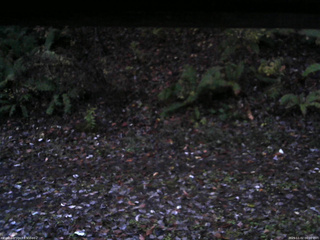 長野県菅平高原 ゆたか山荘 南側 2025/11/02 06:00