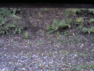 長野県菅平高原 ゆたか山荘 南側 2025/11/02 06:15