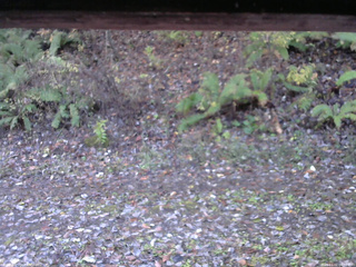 長野県菅平高原 ゆたか山荘 南側 2025/11/02 06:30