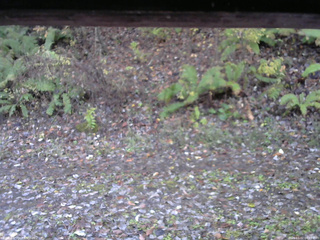 長野県菅平高原 ゆたか山荘 南側 2025/11/02 06:45