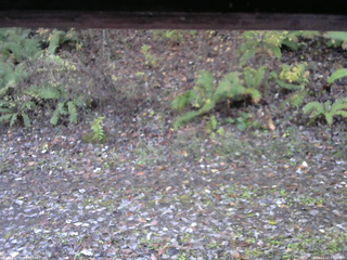 長野県菅平高原 ゆたか山荘 南側 2025/11/02 07:00
