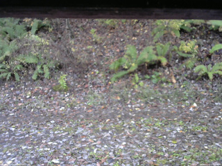 長野県菅平高原 ゆたか山荘 南側 2025/11/02 07:15