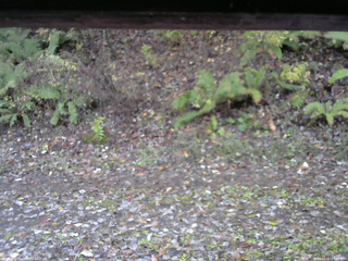 長野県菅平高原 ゆたか山荘 南側 2025/11/02 07:45