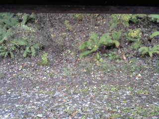 長野県菅平高原 ゆたか山荘 南側 2025/11/02 08:00