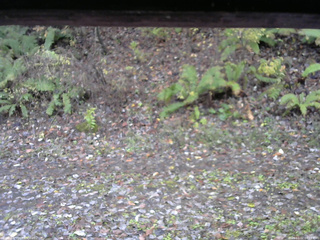 長野県菅平高原 ゆたか山荘 南側 2025/11/02 08:15