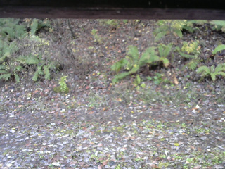 長野県菅平高原 ゆたか山荘 南側 2025/11/02 08:30