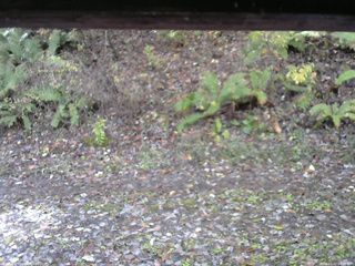 長野県菅平高原 ゆたか山荘 南側 2025/11/02 08:45