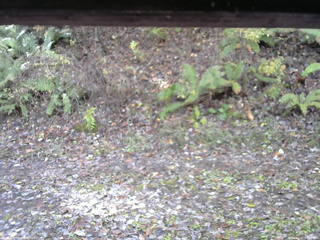 長野県菅平高原 ゆたか山荘 南側 2025/11/02 09:00