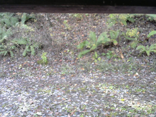 長野県菅平高原 ゆたか山荘 南側 2025/11/02 09:15