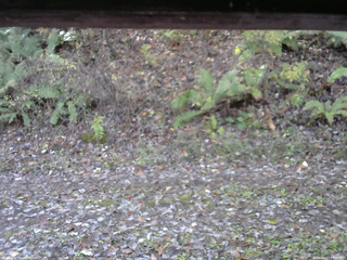長野県菅平高原 ゆたか山荘 南側 2025/11/02 09:30