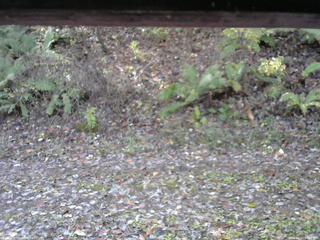 長野県菅平高原 ゆたか山荘 南側 2025/11/02 09:45