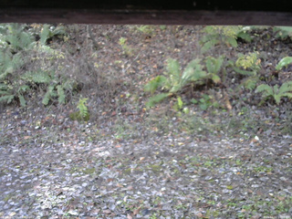 長野県菅平高原 ゆたか山荘 南側 2025/11/02 10:00