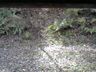 長野県菅平高原 ゆたか山荘 南側 2025/11/02 10:15