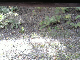 長野県菅平高原 ゆたか山荘 南側 2025/11/02 10:30