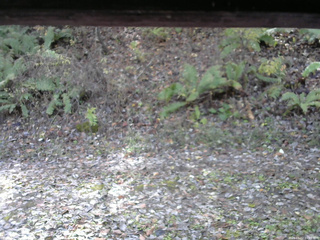 長野県菅平高原 ゆたか山荘 南側 2025/11/02 10:45