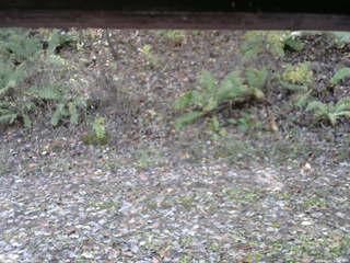 長野県菅平高原 ゆたか山荘 南側 2025/11/02 11:00