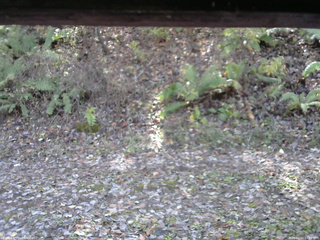 長野県菅平高原 ゆたか山荘 南側 2025/11/02 11:15