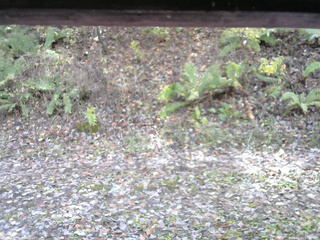 長野県菅平高原 ゆたか山荘 南側 2025/11/02 11:30