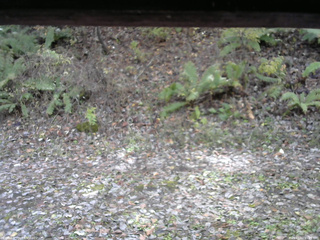 長野県菅平高原 ゆたか山荘 南側 2025/11/02 11:45