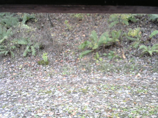 長野県菅平高原 ゆたか山荘 南側 2025/11/02 12:00